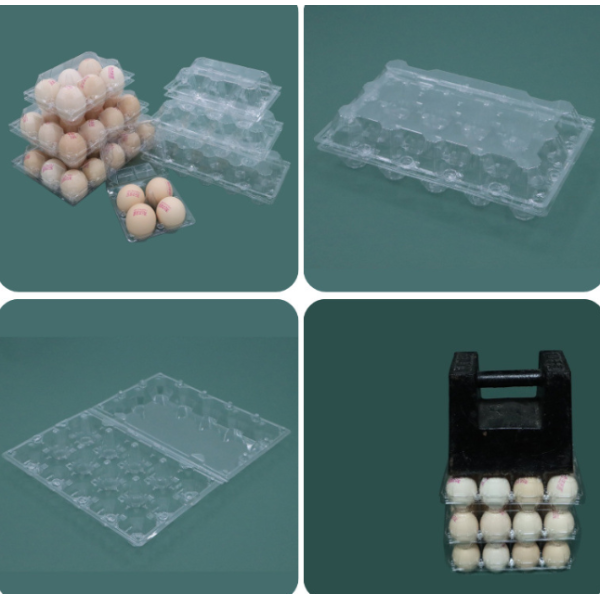 Clear 30 Cell Disposable Plastic Egg Container With Lid For Shockproof Egg Storage Transport