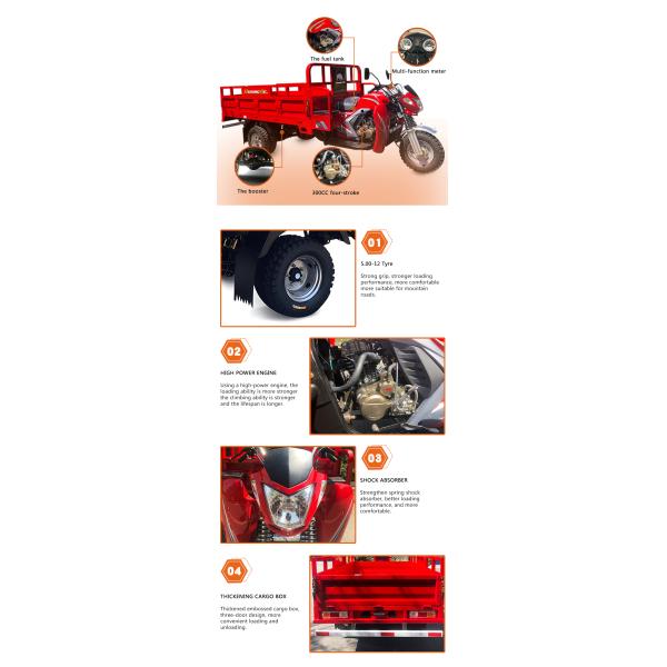 150cc 3-Wheel Cargo Motorcycle with 800kg Capacity