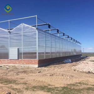 Quality 12m Multi Span Clear Polycarbonate PC Sheet Greenhouse for sale