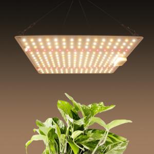 Quality Full Spectrum 150W Horticulture SMD Chip LED Grow Lights For Indoor Plants for sale