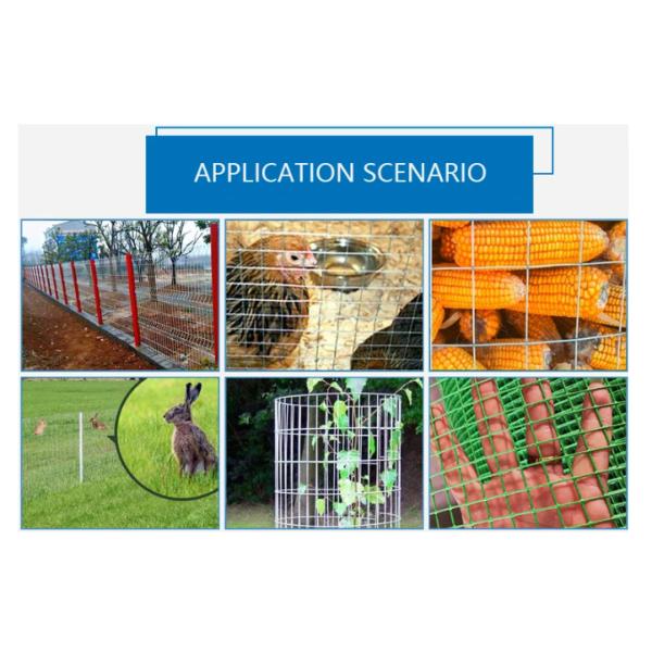 China Factory PVC Coated Welded Wire Mesh