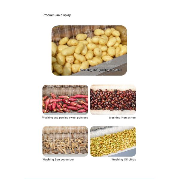 1500KG/H Ginger peeling cleaning machine potato yam peeling machine Wool roller cleaning peeling machine