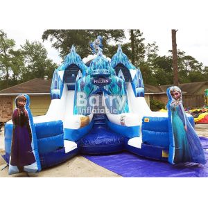 Customized Size Frozen Double Commercial Inflatable Slide Indoor And Outdoor For