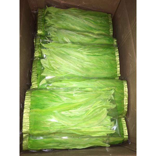 6-8inch Dyed Rooster Coque Feather Fringe Trim with Satin Ribbon