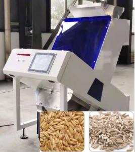 Quality 1 Chute Oat Color Sorter Precise Target Positioning 0.8-1.2 T/H for sale