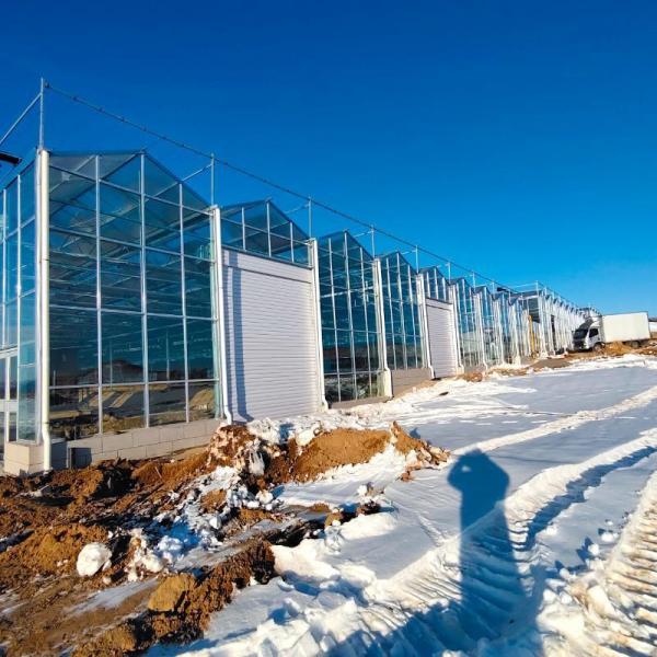 Vegetable Production Po Film Greenhouse with Shading System
