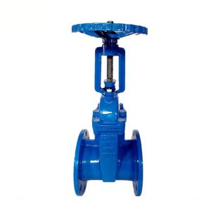 Quality Stainless Steel Flanged Gate Valve Jis 10k Cast Iron Cs API6D for sale