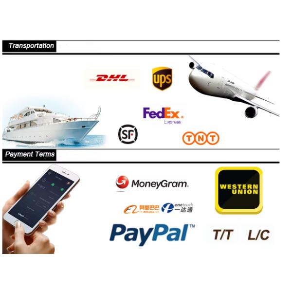 Polyester Molded Fabric For Paper Machine Mills Air Infiltration 4550-9000 M3/m2 0.2kg