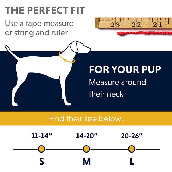 Sturdy Soft Nylon Adjustable Dog Collars Long Lasting Wear Security Different Sizes