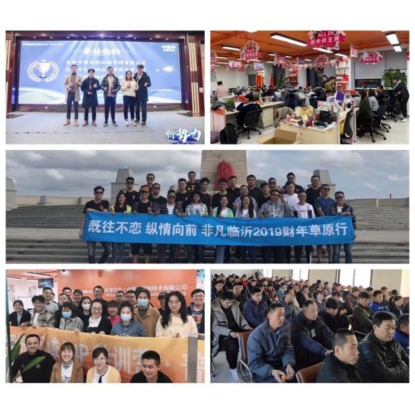 1220mm Width Sandwich Panels Wide Range of Wood Grain Colors