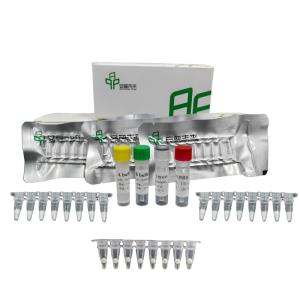 Quality Highly Sensitive Isothermal RNA Amplification Kit With Fast Reaction Time for sale