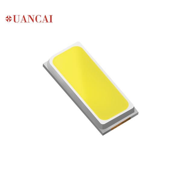 Street Light Downlight 0.5W 6000k 3014 Smd Led