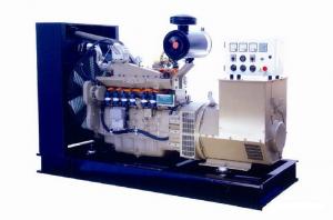 Quality 280KVA 110V Natural Gas Generator Set , 3 Phase CNG Generator Set CE Certified for sale