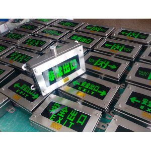 High Strength Aluminium 50000Hours Long Life Explosion Proof Exit Emergency