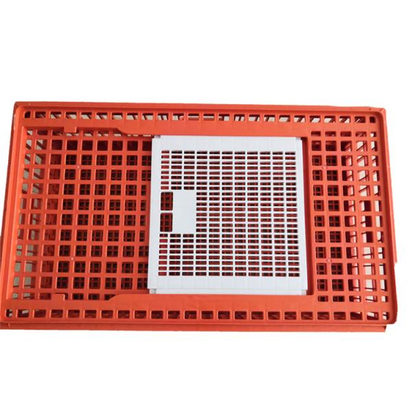 wholesale big size plastic chicken crate