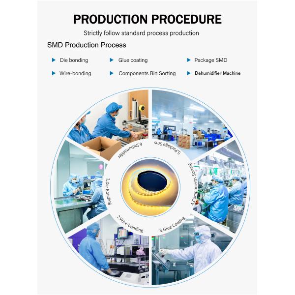 Smart Multi Color 5m 10m 12v 5050 Rgb Led Pixel Strip Lights for Residential Lighting