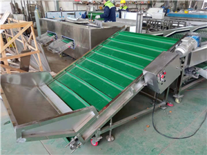walnut grading machine, walnut sorting machine, walnut elevator, walnut sorter