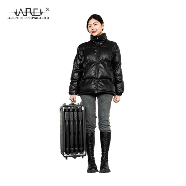 ARE AUDIO dual 12 inch passive crystal-clear DJ outdoor line array speaker sets line array systems for club DJs