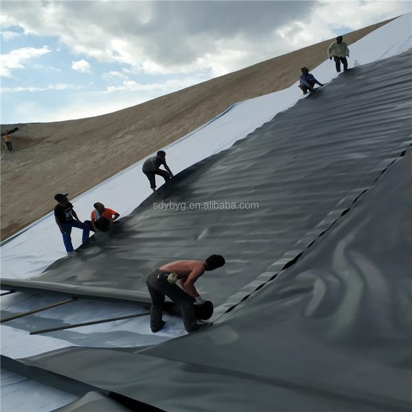 1mm HDPE Geomembrane for Agricultural Circular Tarpaulin Fish Pond Waterproofing