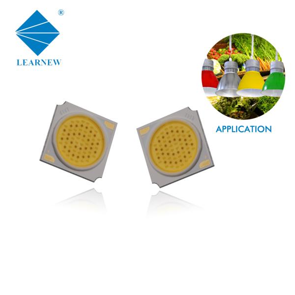 High Cri 8000-10000K led cob chips 30W fresh light Epistar chip