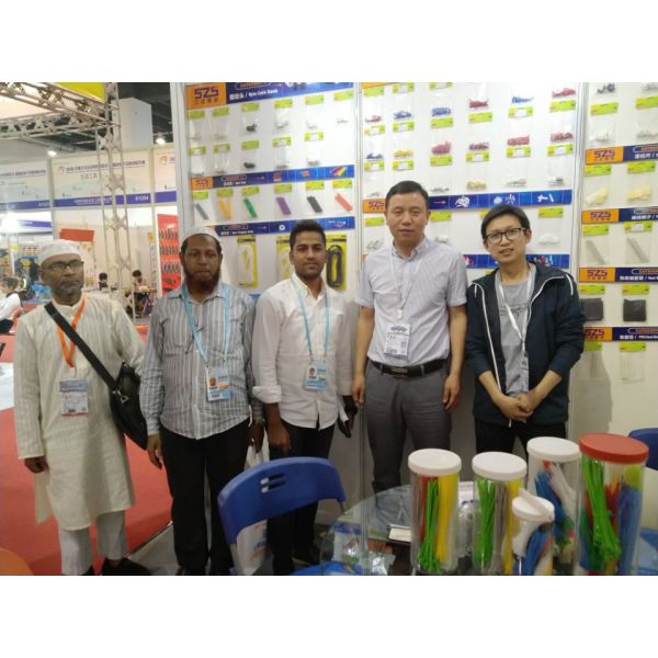 Colorful Eco Friendly Plastic Tie Wraps Plastic Ties For Wires