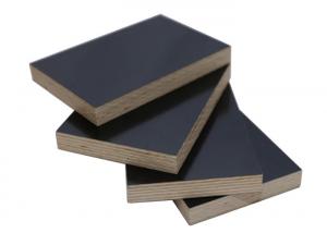 China Durable Laminate Faced Birch Plywood , Black Film Faced Plywood Sheets on sale
