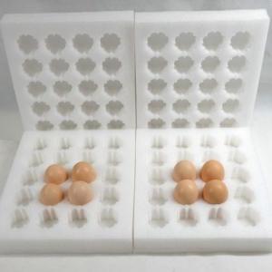 Quality Biodegradable Insert EPE Foam Sheet 30 Eggs Tray With Box Packaging for sale