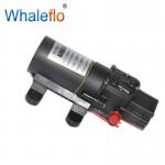 Whaleflo 1.1GPM Self-priming Water delivery
