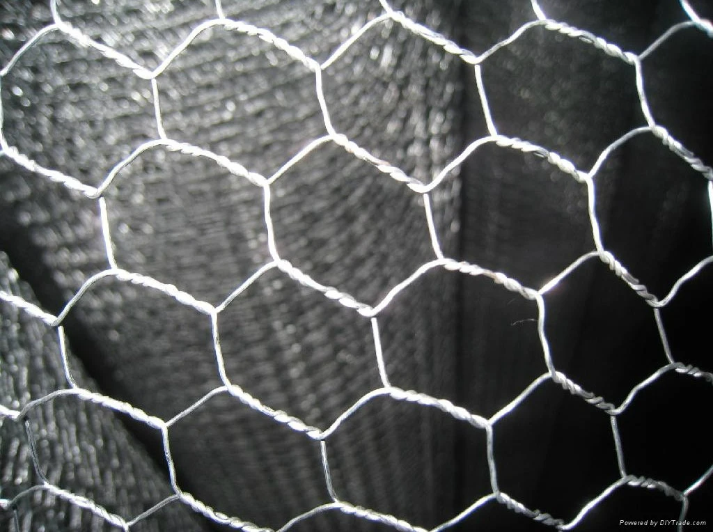 1/2&quot; 3/8&quot; 3/4&quot; 1&quot; Galvanized Hexagonal Chicken Wire Mesh