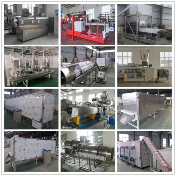 SS Double Screw Fish Feed Pet Food Extruder Machine