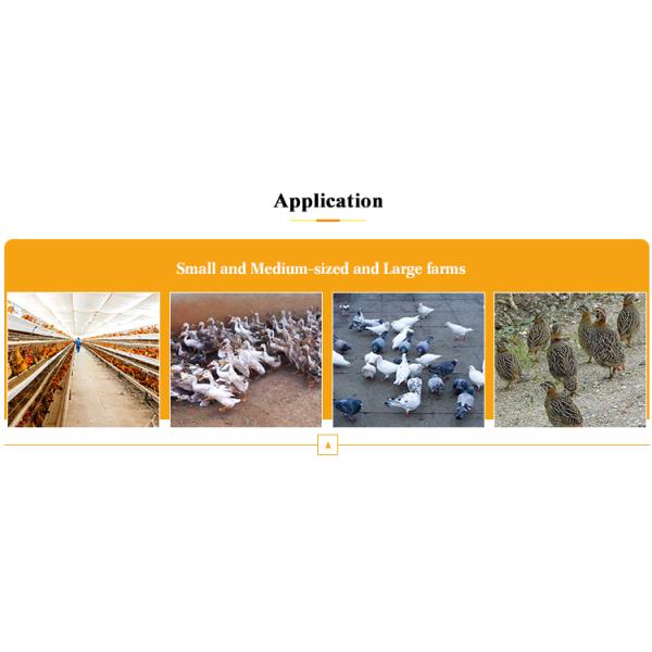 Chicken Feather Removal Machine 7 Roller Scalding Plucking Poultry Slaughterhouse