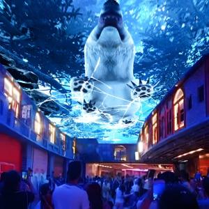Quality 10000 Lumens 3D Interactive Projection Sky Screen Immersive Dinner for sale