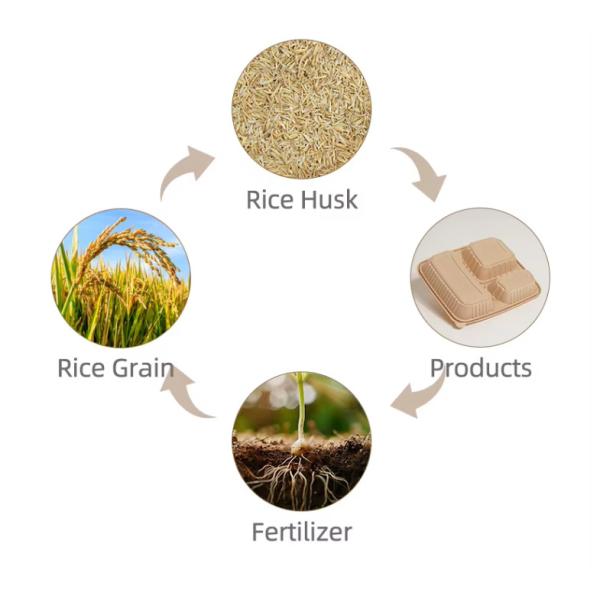 Customizable 3 Division Disposable Compostable To-Go Container Hinged Take Away Food Container Rice Husk Disposable Lunch Box