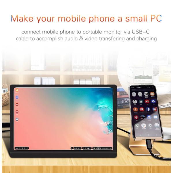 1000:1 10 Inch Portable Monitor