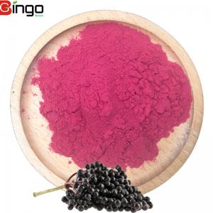 Quality Best selling products natural black elderberry juice powder with free sample for sale