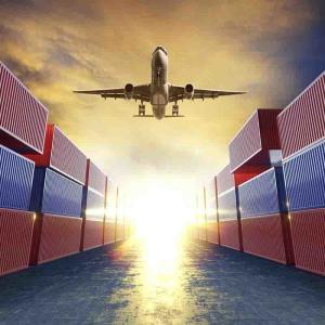 FOB Trading Term Sea Freight Full Container 20FT 40HC from to Belgium Brussels