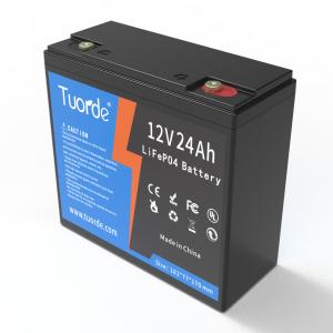 Quality 12V 24Ah Lead Acid Replacement Battery AGV Rechargeable 2000 Cycle OEM ODM for sale