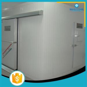 Quality Supermarket chest freezer cold room storage for sale