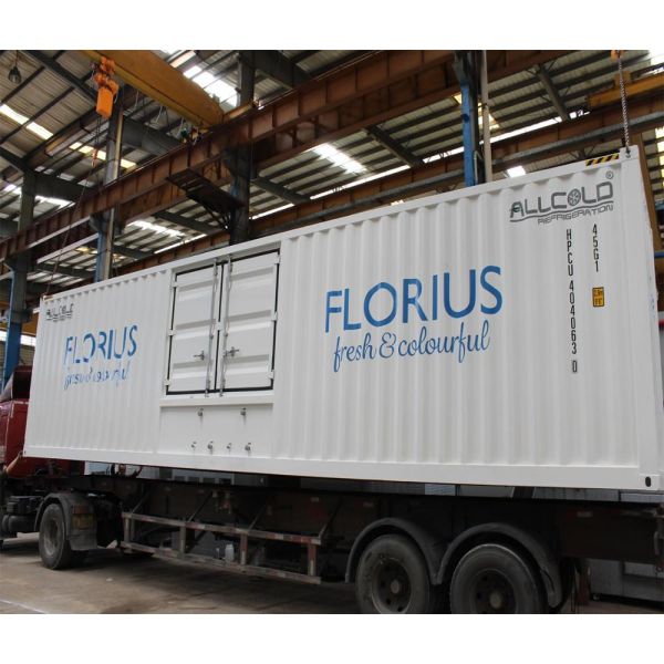 4 Pallets R404A Compressor Flower Vacuum Cooler 72KW