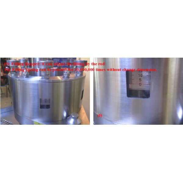 NJP 800C Capsule Filler Machine With Breakdown Diagnosing Diaplay