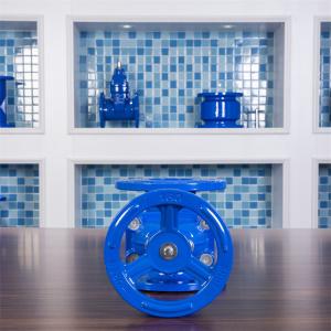 Quality Ductile Iron Elastic Seat Gate Valve Handwheel PN16 PN10 QT450 German Standard for sale