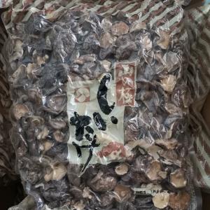 Quality Natural Bulk Dry Shiitake Mushroom Dried Shiitake Mushrooms Organic for sale