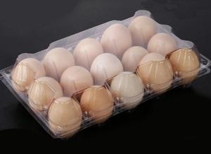 Quality Waterproof PET Transparent Egg Trays , 15 Cavities Egg Carton Packaging for sale