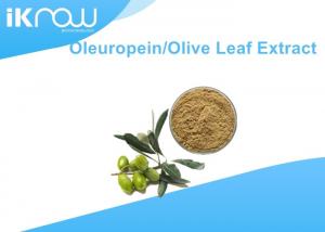 Quality Brownish Yellow Olive Leaf Extract / Oleuropein 20%~60% For Health for sale