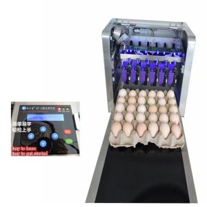 Digital Egg Batch Coding Machine / Inkjet Coding Machine For Effective Date