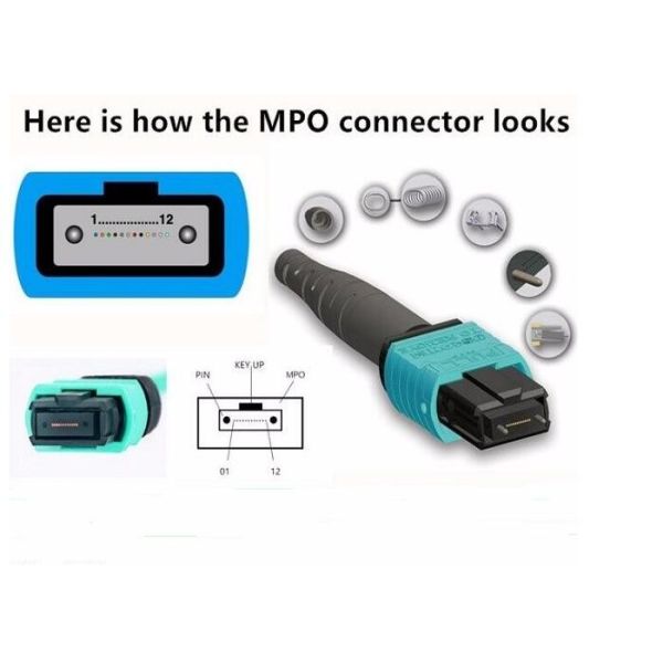 12 Fiber Optic Patch Cord Aqua Color MPO - MPO LSZH SM / MM For Broadband