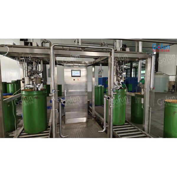 Stainless steel mango processing line