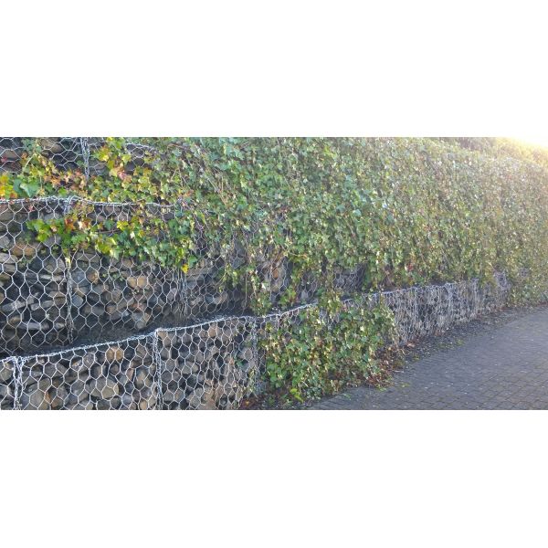 Galvanized Iron Wire Welding Pattern PVC Coated Gabion Basket for Flood Control Mesh