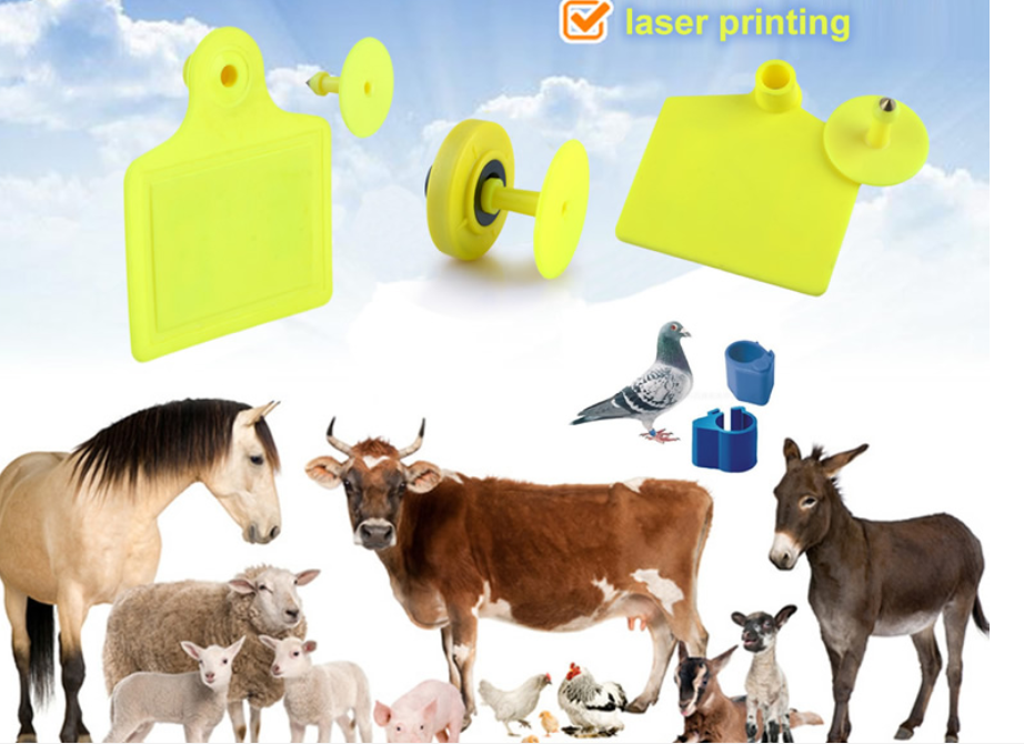 Waterproof Rfid Cattle Ear Tags TPU Low Frequency For Dog Sheep Pig