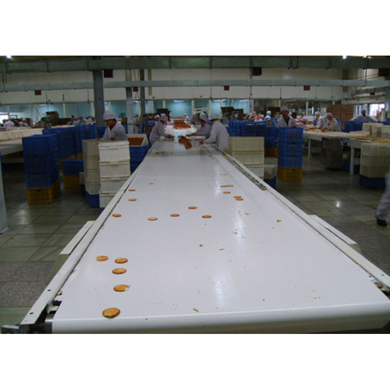 Customized Stainless Steel Belt Conveyor for Various Materials Conveying